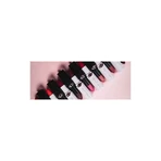 Wet n Wild Mega Last Matte Lip Color - Barra de labios semimate de larga duración - Cinnamon Spice