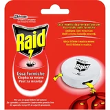 Appât anti-fourmis Raid, insecticide, lot de 1 pièce