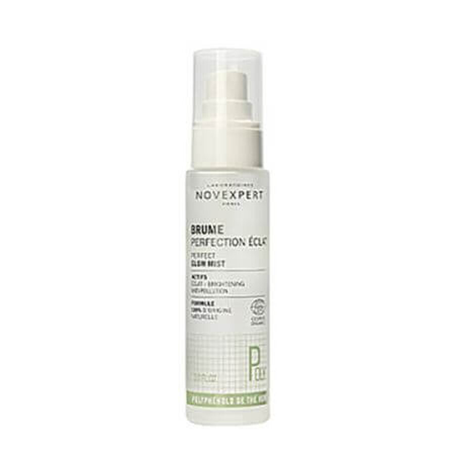 Bruma radiante Té verde Poly, 60 ml, Novexpert