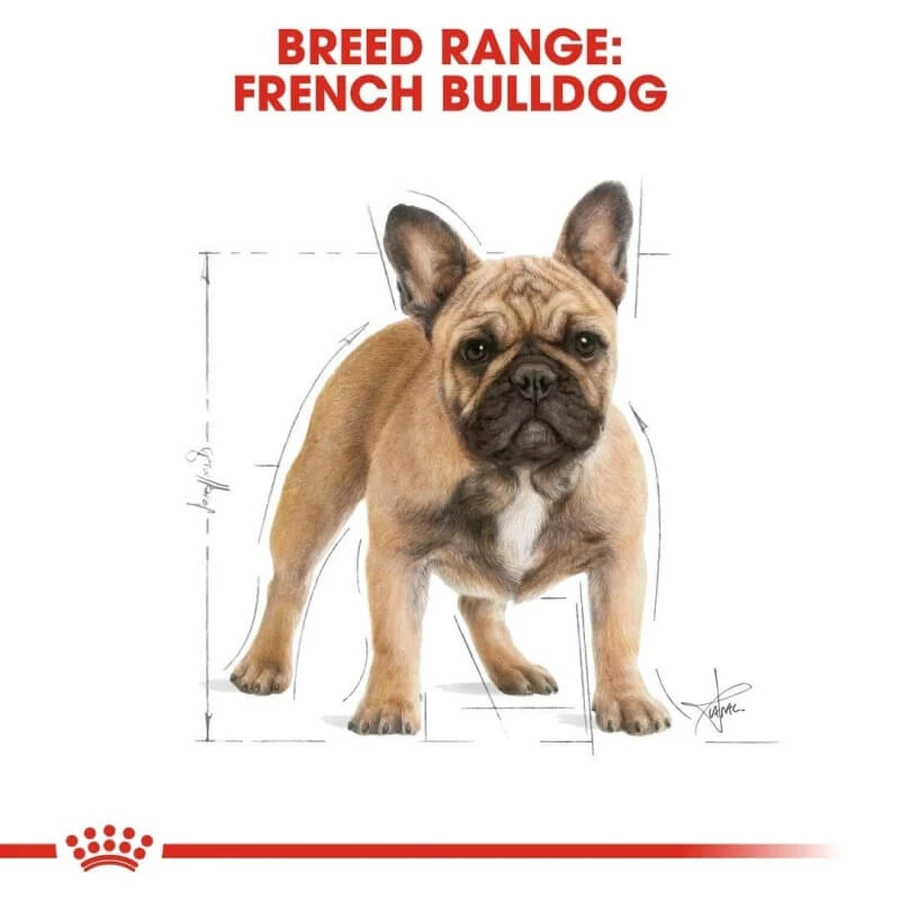Royal Canin French Bulldog Adult – hrană completă pentru câini adulți, 9 kg