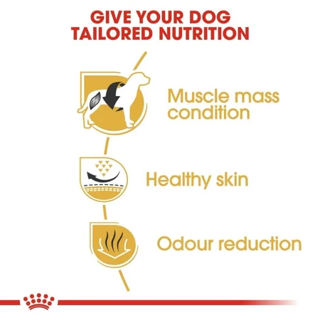 Royal Canin French Bulldog Adult – hrană completă pentru câini adulți, 9 kg