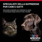 Dechra Specific fkd kidney support - complete food for cats with kidney failure, 400 g