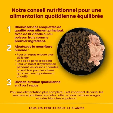 Almo Nature Daily Menu Huhn – Alleinfuttermittel in Nassform für erwachsene Hunde, 400 g