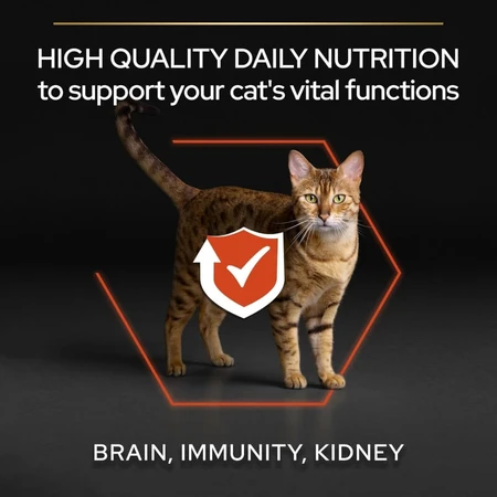 Purina Pro Plan Adult 1+ Vital Functions cu somon – hrană completă pentru pisici adulte, 10 kg