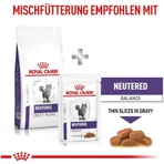 Royal Canin Expert Neutered Satiety Balance - Croquettes pour chats stérilisés jusqu'à 7 ans, 3,5 kg