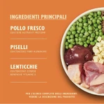 Lily's Kitchen – potrawa wiejska dla psów małych ras z kurczakiem, kaczką i słodkimi ziemniakami – sucha karma dla psów, 2,5 kg: ceny i cechy