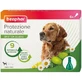 Beaphar Spot-on Shield: protección natural para perros adultos de gran tamaño que pesen más de 30 kg, 6 viales