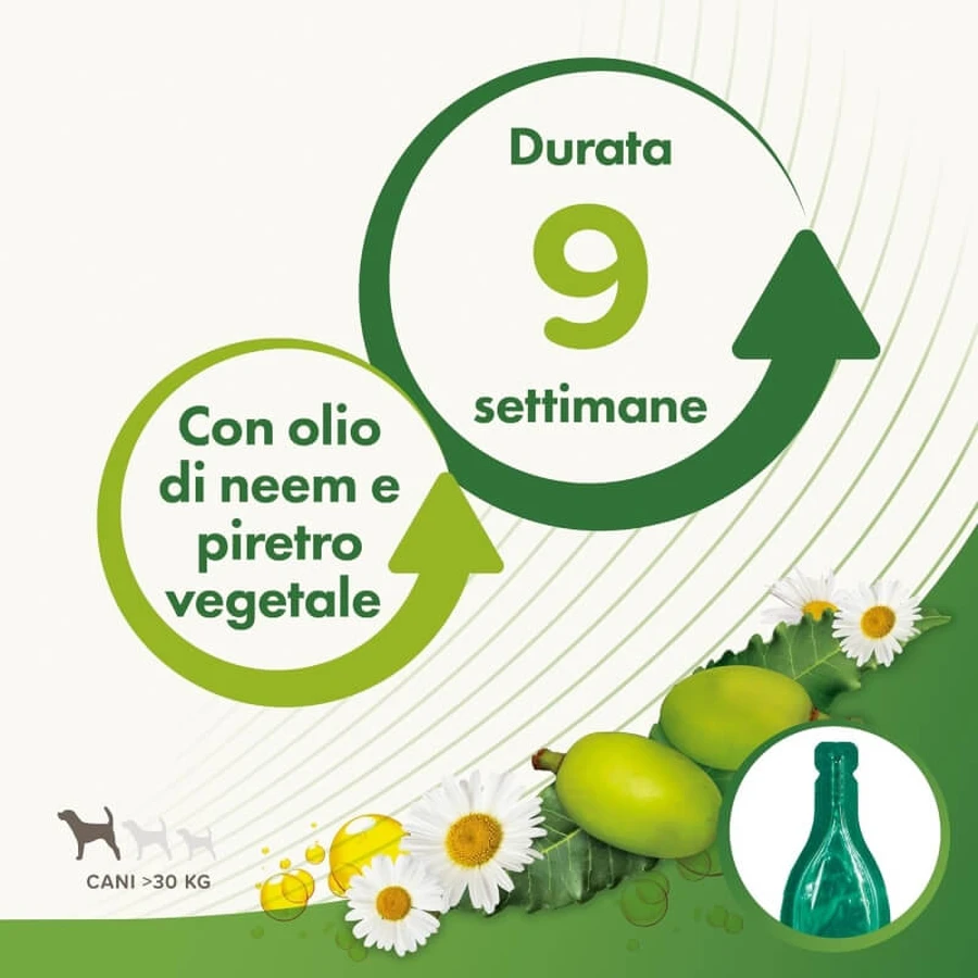 Beaphar Spot-on Shield: protección natural para perros adultos de gran tamaño que pesen más de 30 kg, 6 viales