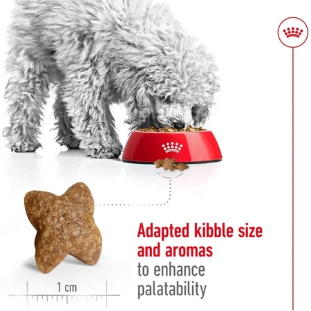 Royal Canin Mini Adult - Aliment complet pour chiens adultes de petite race, 800 g