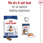 Royal Canin Maxi Ageing 8 Plus – hrană completă pentru câini adulți de talie mare, cu vârsta de peste 8 ani, 15 kg