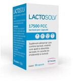 Lactosolv, 30 cápsulas, Sciotec