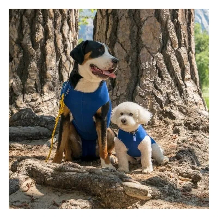 Camisa Balto Recova: camisa postoperatoria para evitar que el animal se lama, talla M