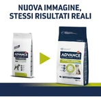Advance Veterinary Diets hipoalergenic – hrană completă pentru câini adulți cu intoleranțe alimentare, 10 kg