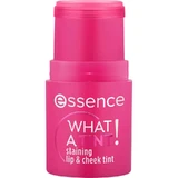 Essence What a Tint! - Tinte para labios y mejillas - Tinte para rostro y labios n.º 10 Raspberry Vibes