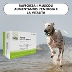 Pharma Cinque Pet Vigorben 60 comprimate – supliment alimentar pentru câini și pisici, destinat susținerii trofismului muscular
