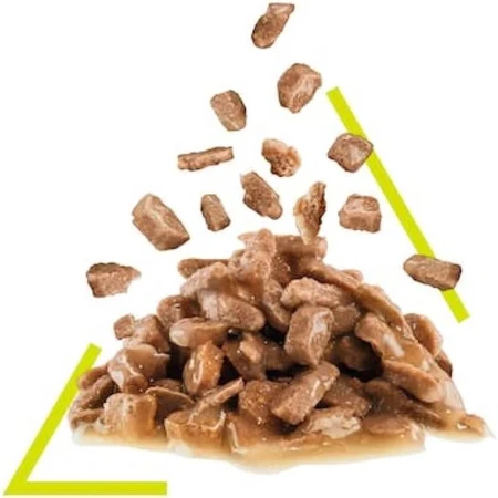 Royal canin Sensory smell bocconcini in salsa - alimento completo per gatti adulti 85 gr