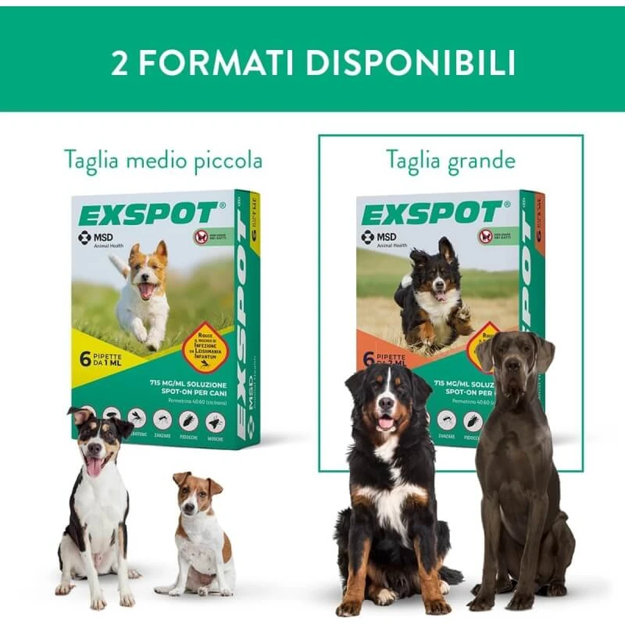 MSD Animal Health Exspot - 6 spot-on parasite prevention pipettes for dogs, 2 ml each
