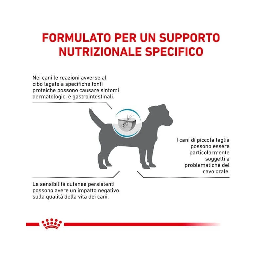 Royal Canin Anallergic Small Dog - Compleet voer voor kleine honden met voedselintoleranties, 1,5 kg