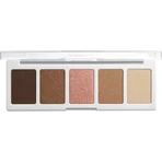 Wet n wild Color icon 5-pan – paletă de farduri de ochi nr. 4067e
