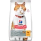Hill's Science Plan pour chats jeunes adultes stérilisés - Croquettes au poulet, 10 kg