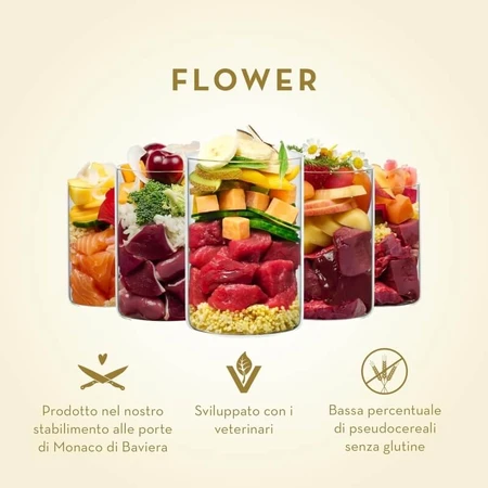 Terra Canis Flower Waikiki Woof Salmon - Pienso húmedo complementario para perros, 400 g