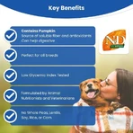 Farmina N&amp;d Pumpkin Puppy Medium &amp; Maxi with Lamb and Pumpkin - Complete Food for Puppies, 12 kg