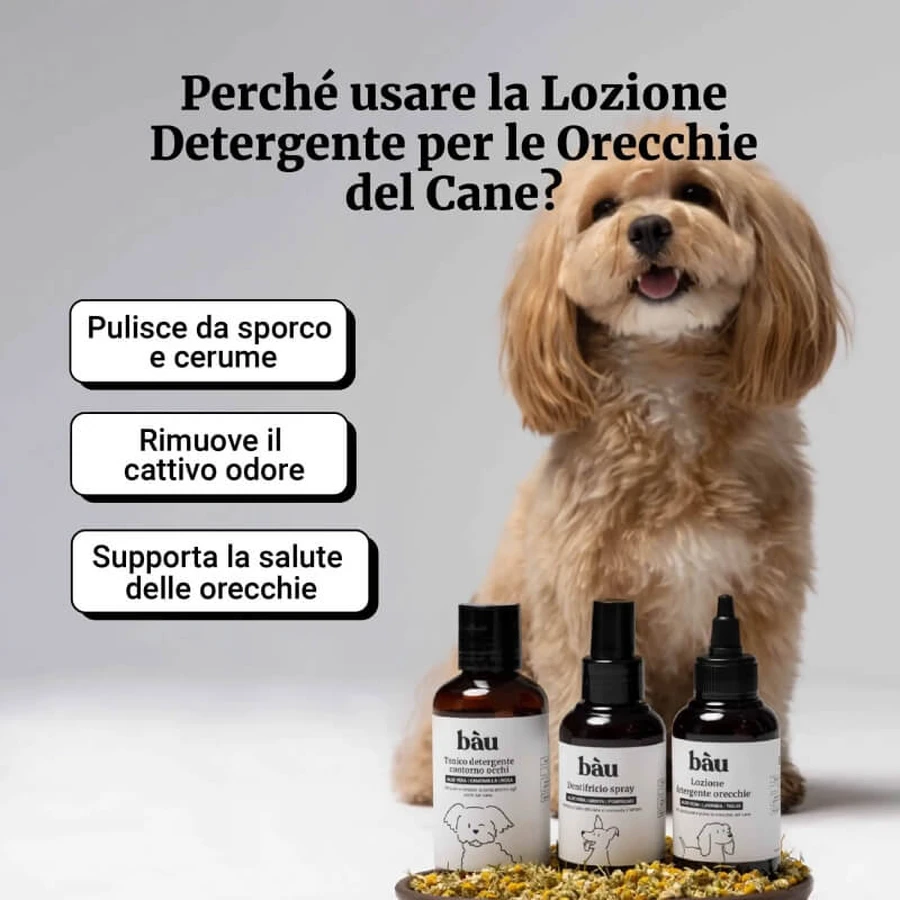 Lotion nettoyante pour les oreilles Bau Cosmetics pour chiens, 100 ml