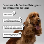 Lotion nettoyante pour les oreilles Bau Cosmetics pour chiens, 100 ml