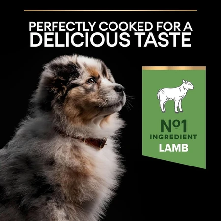 Purina Pro Plan Sensitive Digestion cu carne de miel – hrană completă pentru puii de talie medie, 3 kg