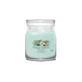 Yankee Candle Aloe & Agave - Medium Signature Scented Candle, 368 g