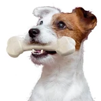 Ferplast Goodbite natuurlijk kauwbot voor honden, maat XXL, rundvlees, 420 g