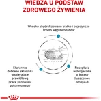 Royal Canin Hypoallergenic – hrană dietetică completă pentru câini cu intoleranțe alimentare, 14 kg