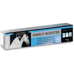 Equality Equistro Energy Booster Paste - Energy Supplement for Horses and Ponies, 20 g