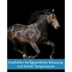 Equality Equistro Energy Booster Paste - Energy Supplement for Horses and Ponies, 20 g