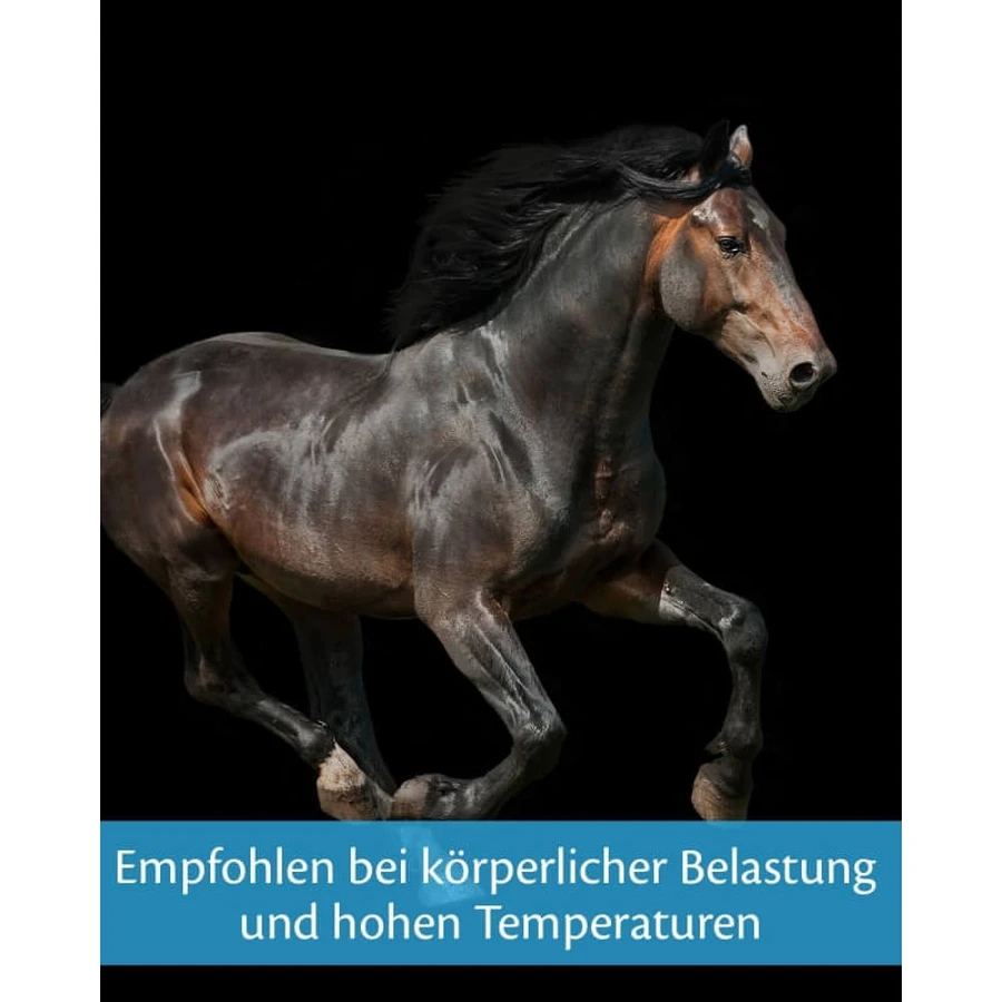 Equality Equistro Energy Booster Paste - Energy Supplement for Horses and Ponies, 20 g