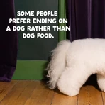Edgard & Cooper Kipbrokken - Compleet voer voor volwassen honden van grote rassen, 12 kg