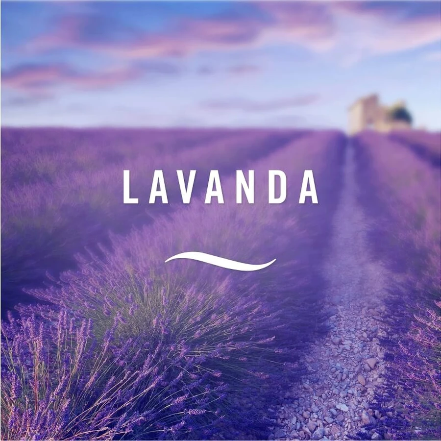 Ambi pur Lavender – wkład do dyfuzora olejków eterycznych: ceny i cechy