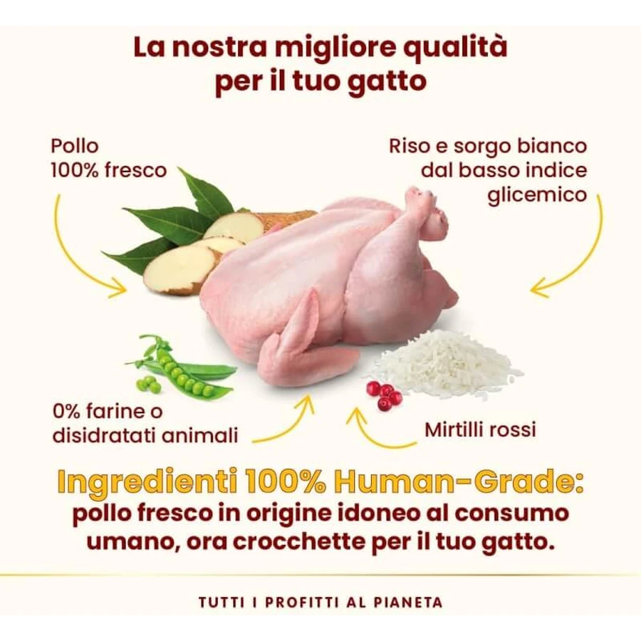 Almo Nature HFC Our Best Sterilised Pollo – hrană completă pentru pisici adulte sterilizate, 1,2 kg