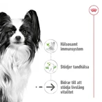 Royal Canin X-Small Aging 12+ - Alimento completo para perros adultos de raza miniatura, 1,5 kg