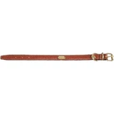 Camon Flat Collar - Padded calfskin with gold-tone hardware, 1.5 x 33 cm