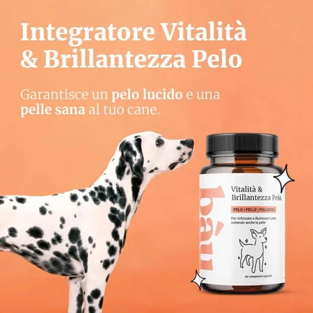Bau Cosmetics: Vitality &amp; Shine for the Coat, 90 tablets - a dietary supplement for dogs' coats