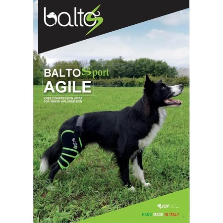 Balto Sport Agile - Rodillera de compresión para la rodilla derecha, talla M, verde