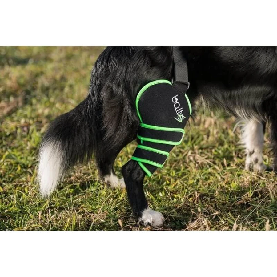 Balto Sport Agile - Rodillera de compresión para la rodilla derecha, talla M, verde