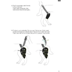 Balto Sport Agile - Rodillera de compresión para la rodilla derecha, talla M, verde