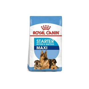 Royal Canin Starter Mother and Puppy Maxi - Alimentation pour chiennes allaitantes et chiots, 4 kg