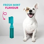 Tasty Bone Tasty Bone - Chewable Dog Bone with Fresh Mint Flavor