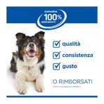 Hill's Prescription Diet i/d Puppy con pollo - Alimento dietético completo para cachorros con trastornos digestivos, 12 kg