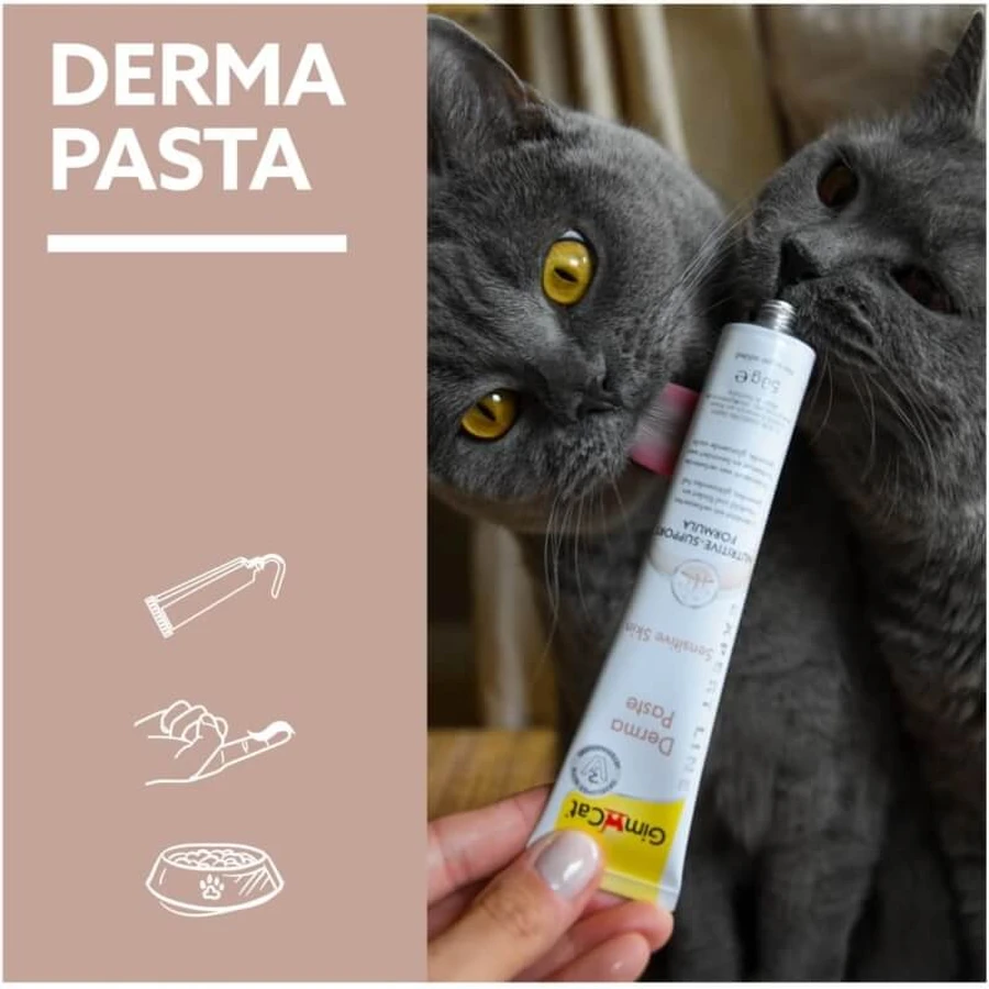Gimborn Gimcat derma paste formulă nutritivă – pastă complementară pentru pielea și blana pisicii, 50 g