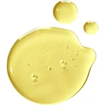 Natura bisse Diamond well-living - olio corpo lenitivo 100 ml