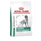 Royal Canin Satiety Weight Management - Aliment complet pour chiens adultes destiné à la perte de poids, 6 kg